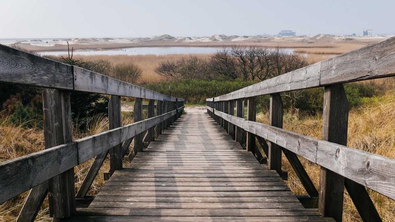 lutube娜娜轻量版全新升级闪耀登场流量如潮